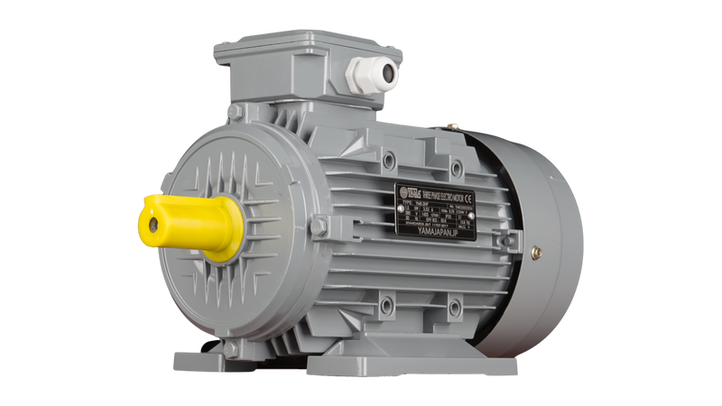 Yama 2 HP 3 Phase 4 Pole