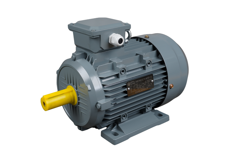 Yama 3 HP 3 Phase 4 Pole