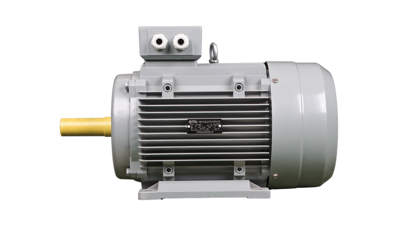 Yama 20 HP 3 Phase 4 Pole