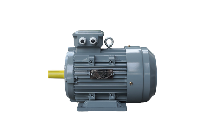 Yama 5.5 HP 3 Phase 4 Pole